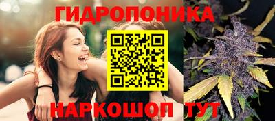 mdpv Обь