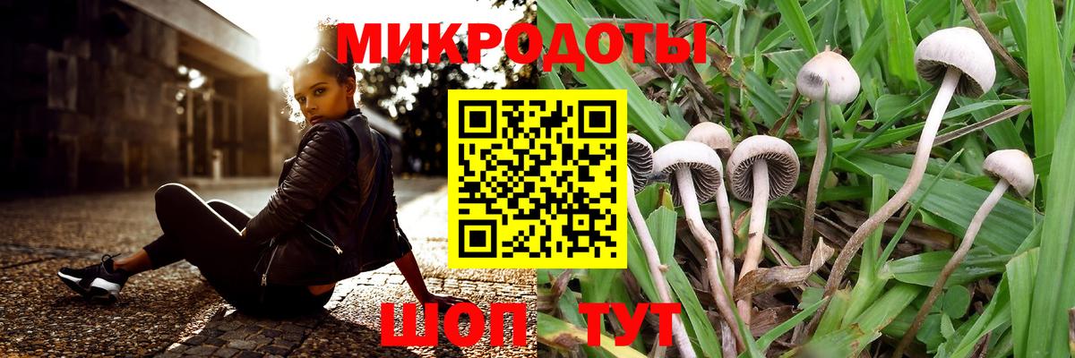 Галлюциногенные грибы ЛСД Саратов