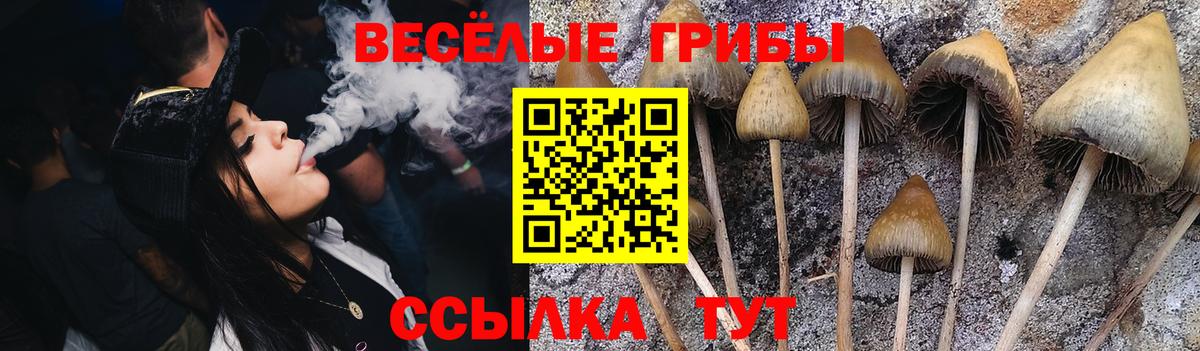 Саратов  Псилоцибиновые грибы Psilocybe  Галлюциногенные грибы мицелий  Вход с VPN 